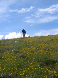 Cruising the hillside